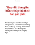 Thay đổi đơn giản biến tế bào thành tế bào gốc phôi