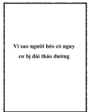 Vì sao người béo có nguy cơ bị đái tháo đường