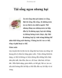 Tái sống ngon nhưng hại