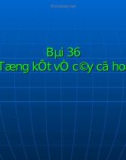 Bài giảng điện tử môn sinh học: Cây xanh có hoa