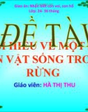 Bài giảng mầm non - Hoạt động nhận thức: Các con vật sống trong rừng