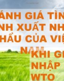 Đánh giá tình hình xuất nhập khẩu của Việt Nam khi gia nhập WTO