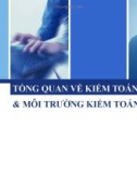 TỔNG QUAN VỀ KIỂM TOÁN & MÔI TRƯỜNG KIỂM TOÁN