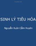 Bài giảng Sinh lý tiêu hóa