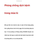 Phòng chống dịch bệnh trong mùa lũ