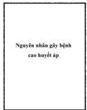 Nguyên nhân gây bệnh cao huyết áp