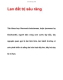 Lan đất trị sâu răng