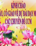 Giáo án điện tử tiểu học môn lịch sử: Quyết chí ra đi tìm đường cứu nước