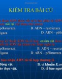 Giáo án điện tử sinh học: Sinh học lớp 12- Bài giảng sinh học 12 phần 4