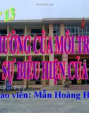 Giáo án điện tử môn sinh học: Sinh học lớp 12- Ảnh hưởng của môi trường lên kiểu Gen