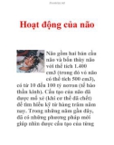 Hoạt động của não