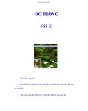 ĐỖ TRỌNG (Kỳ 3)