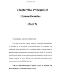 Chapter 062. Principles of Human Genetics (Part 7)