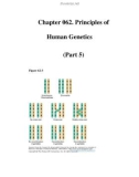 Chapter 062. Principles of Human Genetics (Part 5)