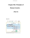 Chapter 062. Principles of Human Genetics (Part 4)