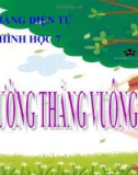 Bài giảng Hình học 7 chương 1 bài 2: Hai đường thẳng vuông góc