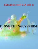 Bài giảng Ngữ văn 11 tuần 24 bài: Tương tư - Nguyễn Bính