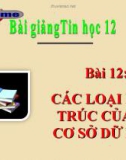 Bài giảng Tin học 12 bài 12: Các loại kiến trúc của hệ cơ sở dữ liệu