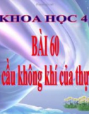 Slide bài Nhu cầu không khí của thực vật - Khoa học 4 - GV.H.T.Minh