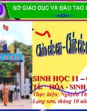 Bài giảng Sinh học 11 - Bài 8: Quang hợp ở thực vật