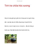 Tinh tre chữa hóc xương