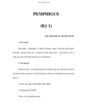 PEMPHIGUS (Kỳ 1)