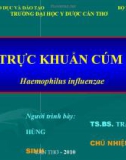 Trực khuẩn cúm