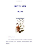 HUYỀN SÂM (Kỳ 3)