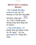 BỆNH THAN (Anthrax disease)