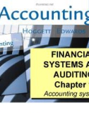 Accounting - Financial systems and auditing