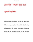 Cải bắp - cây Thuốc quý của người nghèo