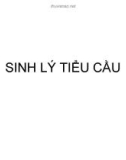 SINH LÝ TIỂU CẦU