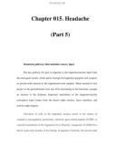 Chapter 015. Headache (Part 5)