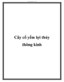 Cây cổ yếm lợi thủy thông kinh