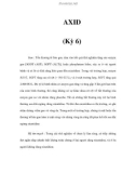 AXID (Kỳ 6)