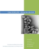 Cúm H1N1/09 - thông tin cần biết