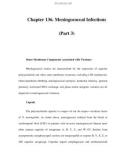 Chapter 136. Meningococcal Infections (Part 3)