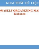 Bài giảng Khai phá dữ liệu: SOM (self organizing maps) - Văn Thế Thành