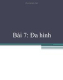 Bài giảng Lập trình hướng đối tượng: Bài 7 - Phạm Thị Bích Vân