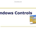 Winform - Lập Trình C# - Lập Trình C Shap - Basic Controls
