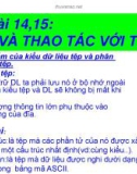 Bài 14,15: TỆP VÀ THAO TÁC VỚI TỆP