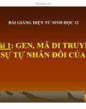 Bài giảng Sinh học lớp 12 bài 1: Gen, mã di truyền và quá trình nhân đôi ADN