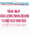 Bài giảng Sinh học lớp 12 bài 45: Dòng năng lượng trong hệ sinh thái và hiệu suất sinh thái