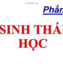 Bài giảng Sinh học lớp 12: Phần 7 - Sinh thái học