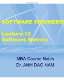 Lecture Software engineering: Lecture 12 - TS. Đào Nam Anh