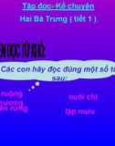 Giáo án điện tử môn Tiếng Việt lớp 3 - Tuần 19: Tập đọc - Kể chuyện Hai Bà Trưng