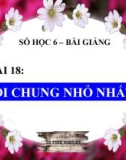 Bài giảng Số học 6 chương 1 bài 18: Bội chung nhỏ nhất