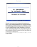 Risk Management The Big Picture – Part V