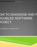 Applied Software Project Management - HOW TO DIAGNOSE AND FIX A TROUBLED SOFTWARE PROJECT