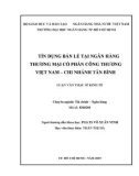 Luận văn Thạc sĩ Kinh tế: Tín dụng bán lẻ tại Ngân hàng thương mại cổ phần Công thương Việt Nam – Chi nhánh Tân Bình